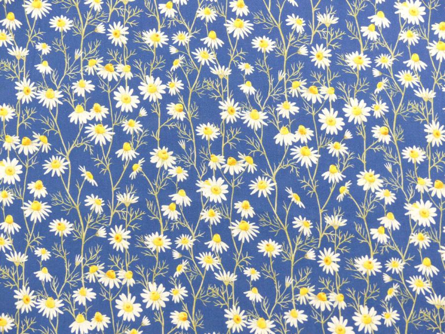 Hedgehog Hollow Blumen Gänseblümchen Daisies blau von In the Beginning